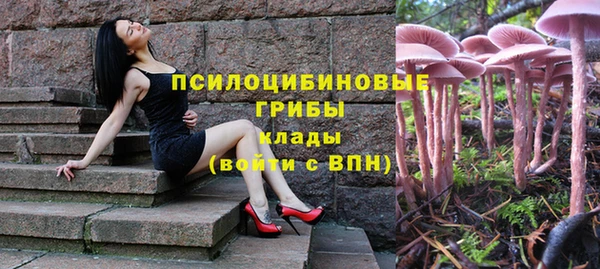тгк Армянск